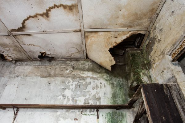 Water Damage Service in Milton