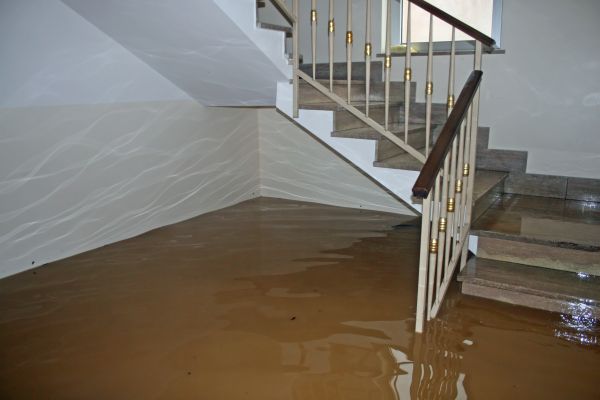 Storm Damage Restoration in Milton
