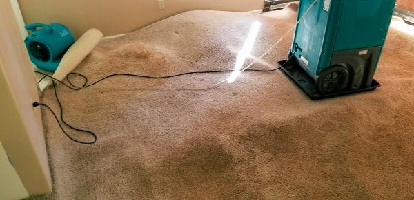 Flood Damage Cleanup in Milton