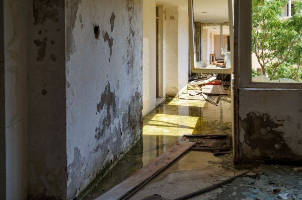 Water Removal Service in Milton