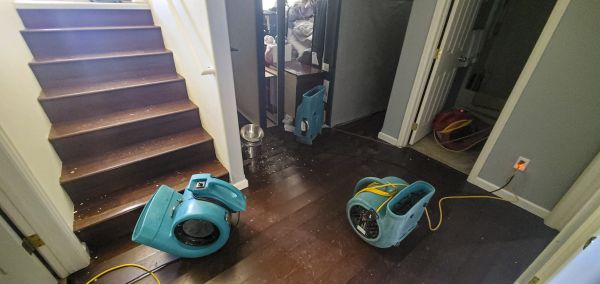 Water Damage Remediation in Milton