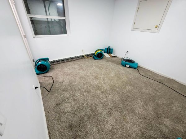 Flood Restoration Service in Milton