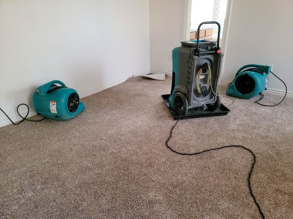 Water Damage Repair in Milton