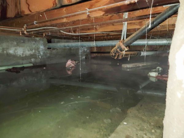 Cost of Crawl Space Drying in Milton