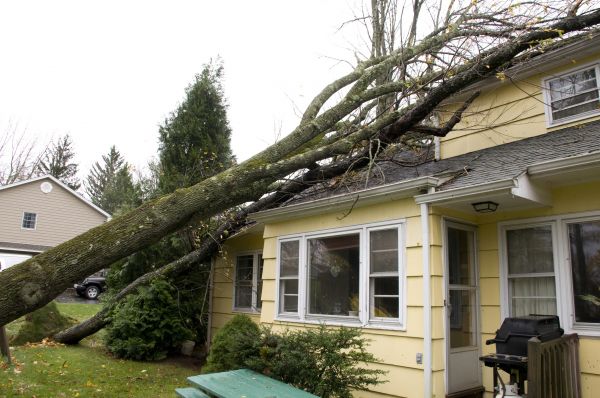 Hurricane Damage Repair in Milton